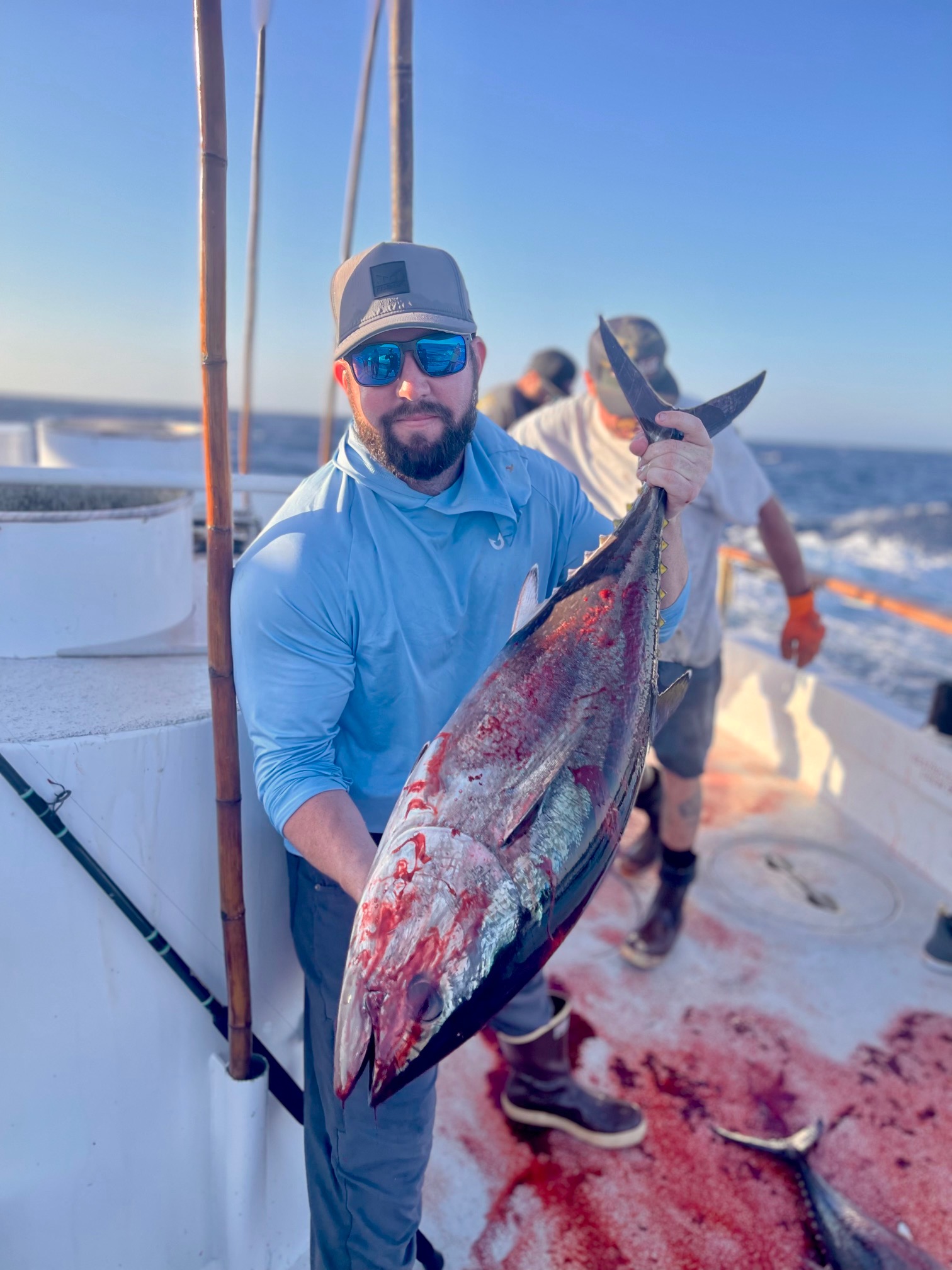 Searcher Angler Bluefin