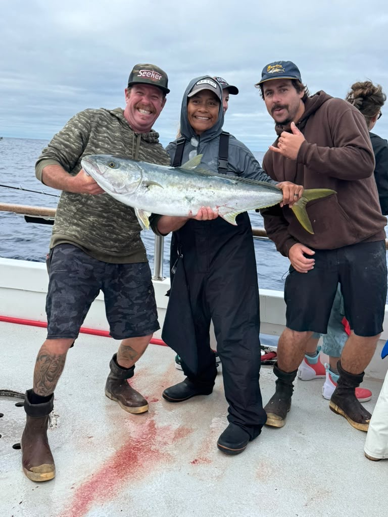 Searcher Lady Angler Saveline Yellowtail Fishing