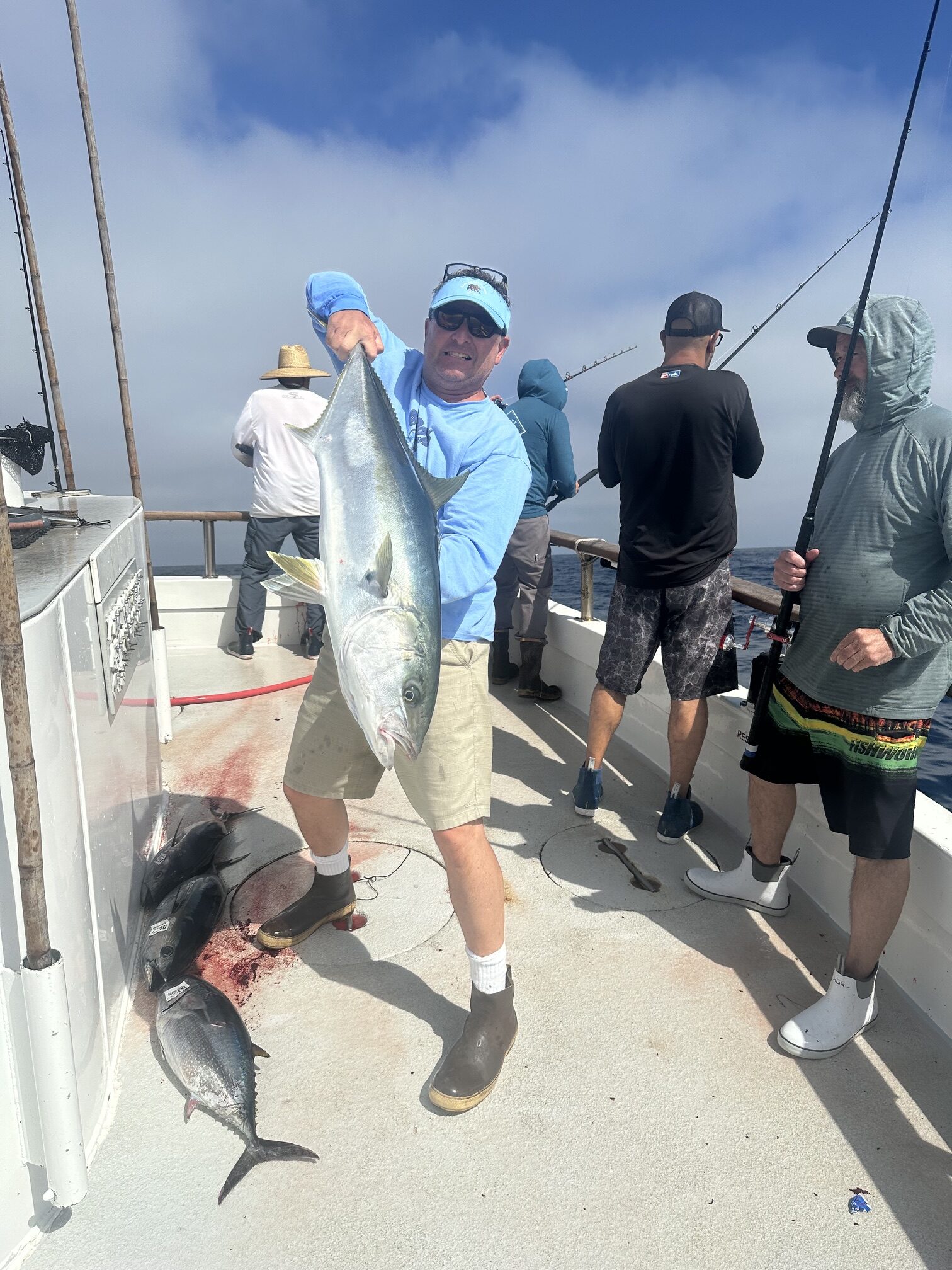Searcher Yellowtail Fishing