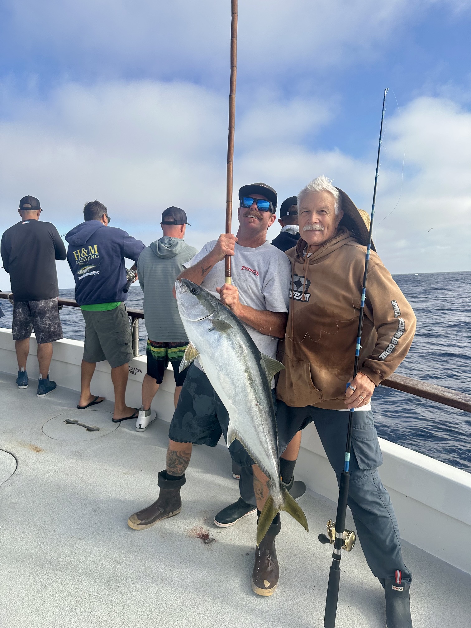 Searcher Monkey Yellowtail