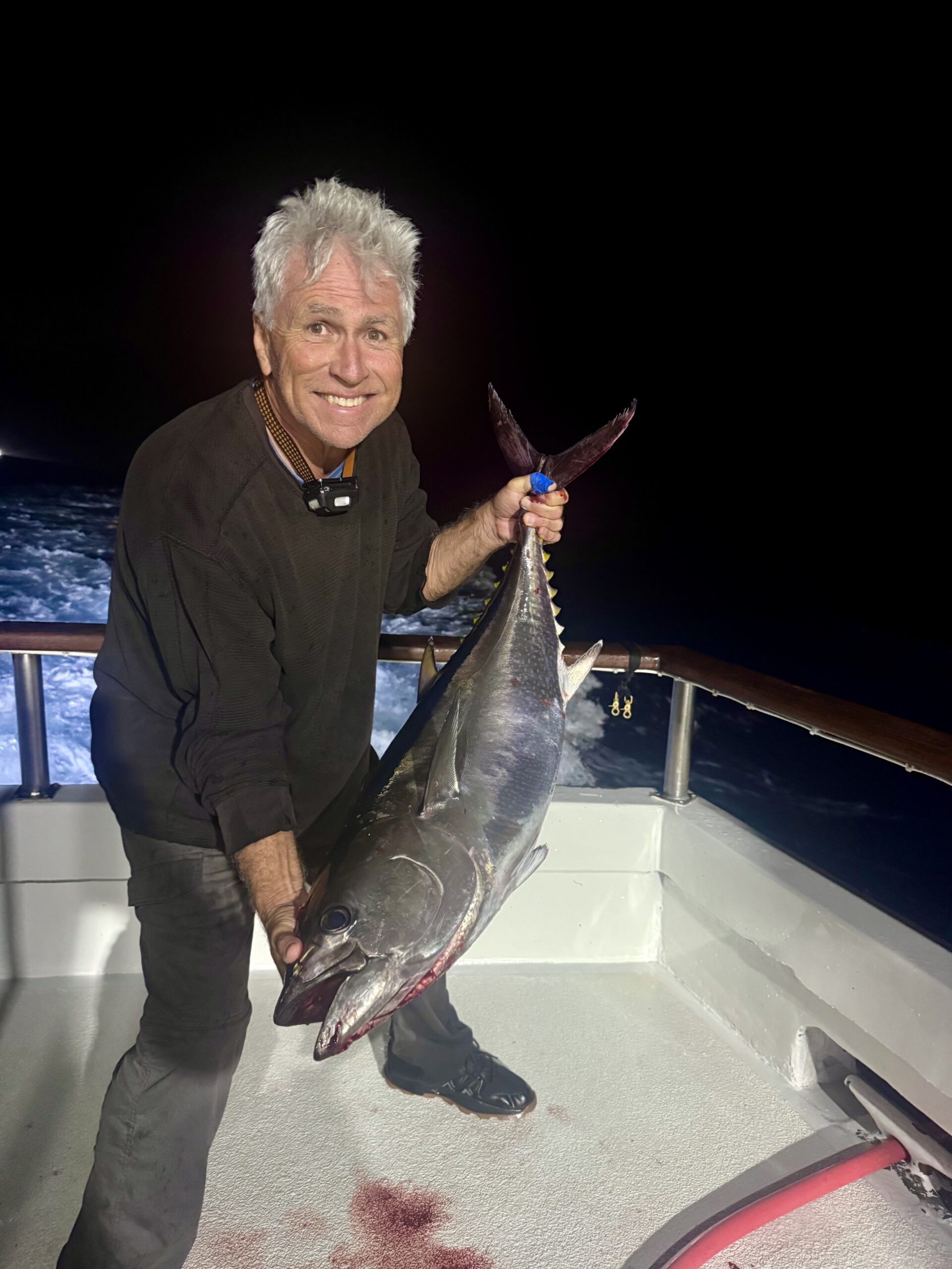 Searcher Night Fishing Bluefin Tuna