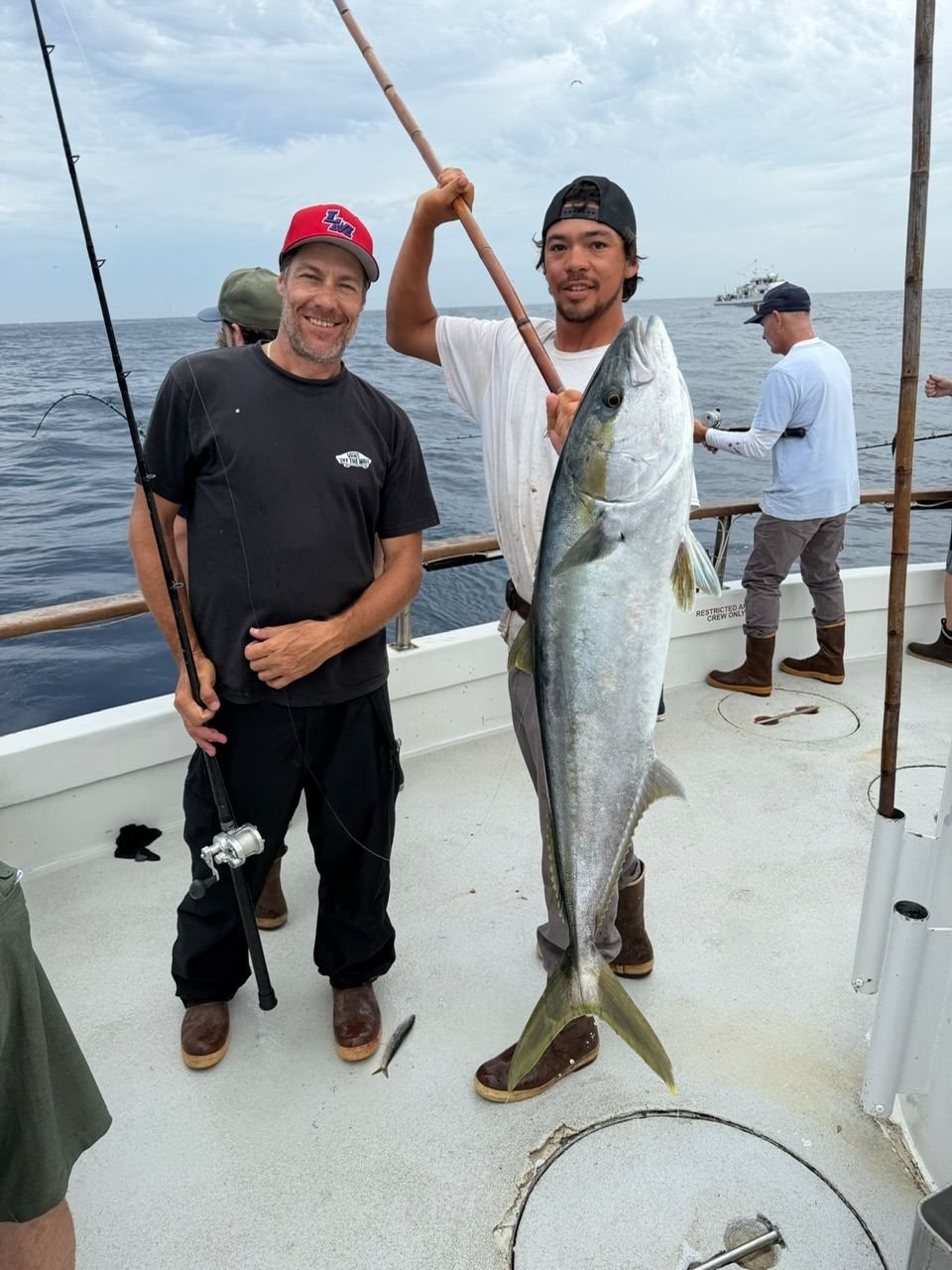 Searcher Rob Angler Yellowtail