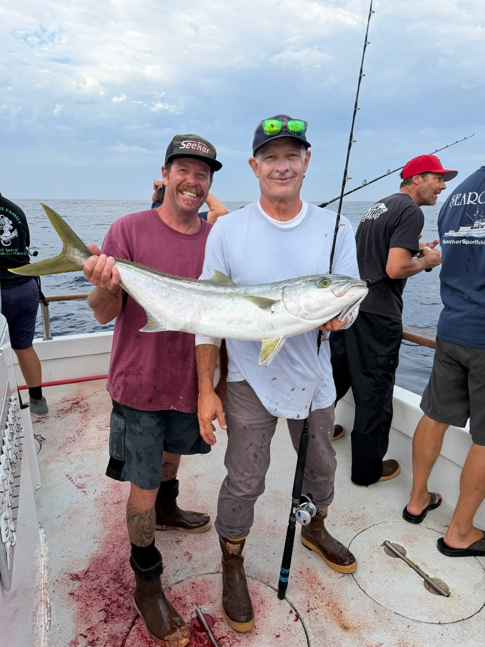 Searcher Anglers Yellowtail
