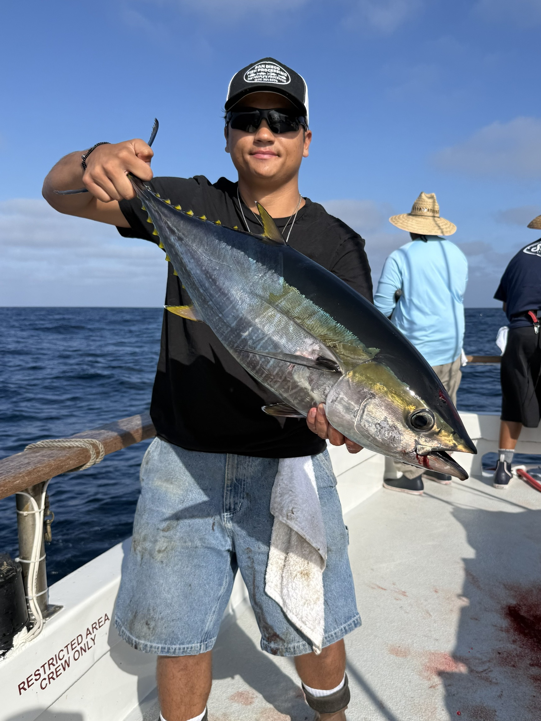 Yellowfin Fish Izorline 2026