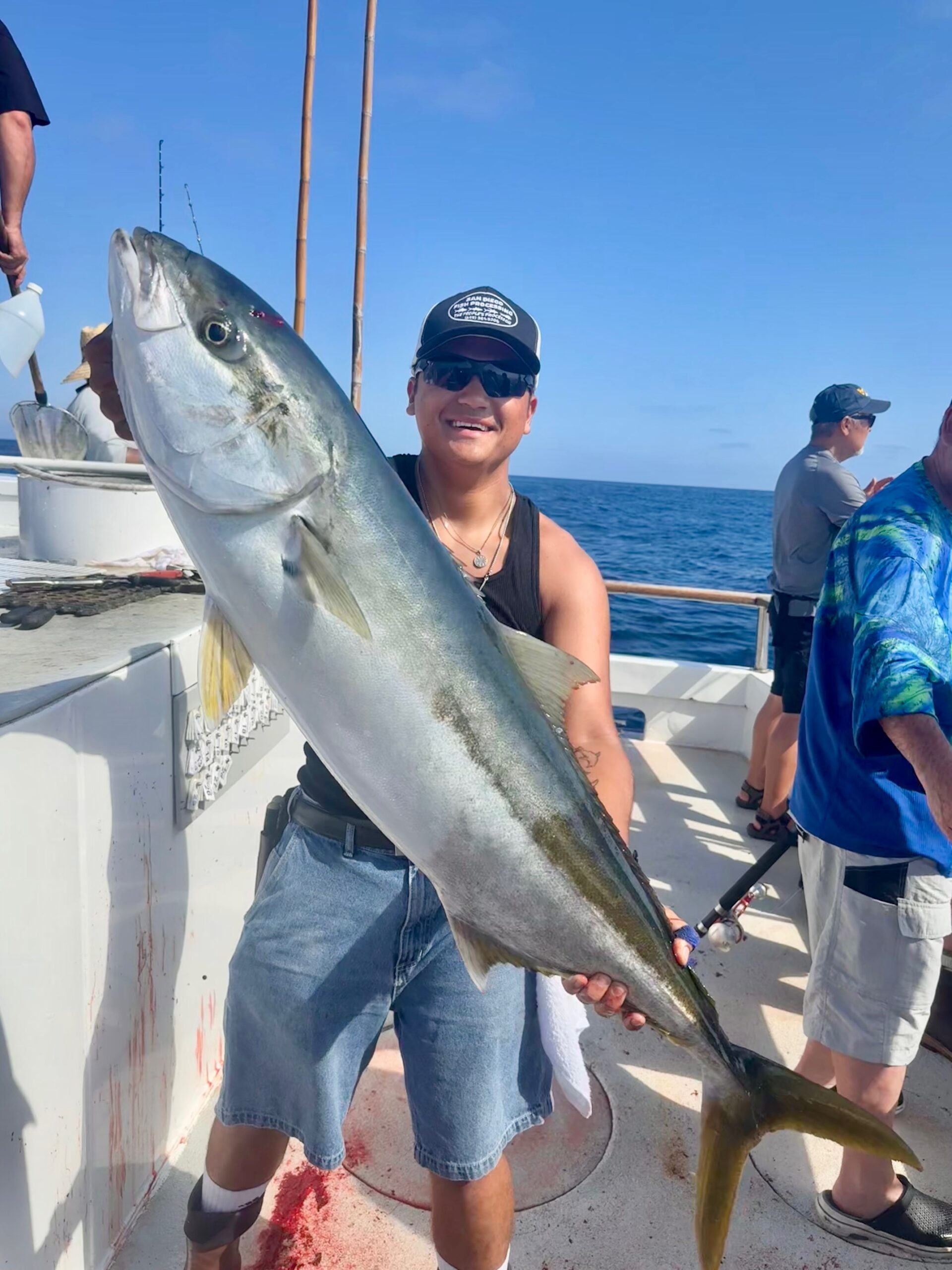 Yellowtail Fish Izorline 2026