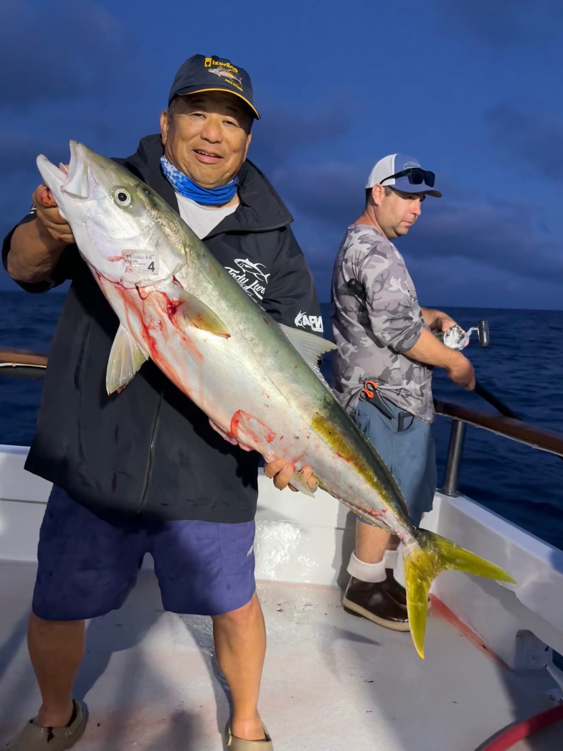 Yellowtail Fish Norm Izorline 2026