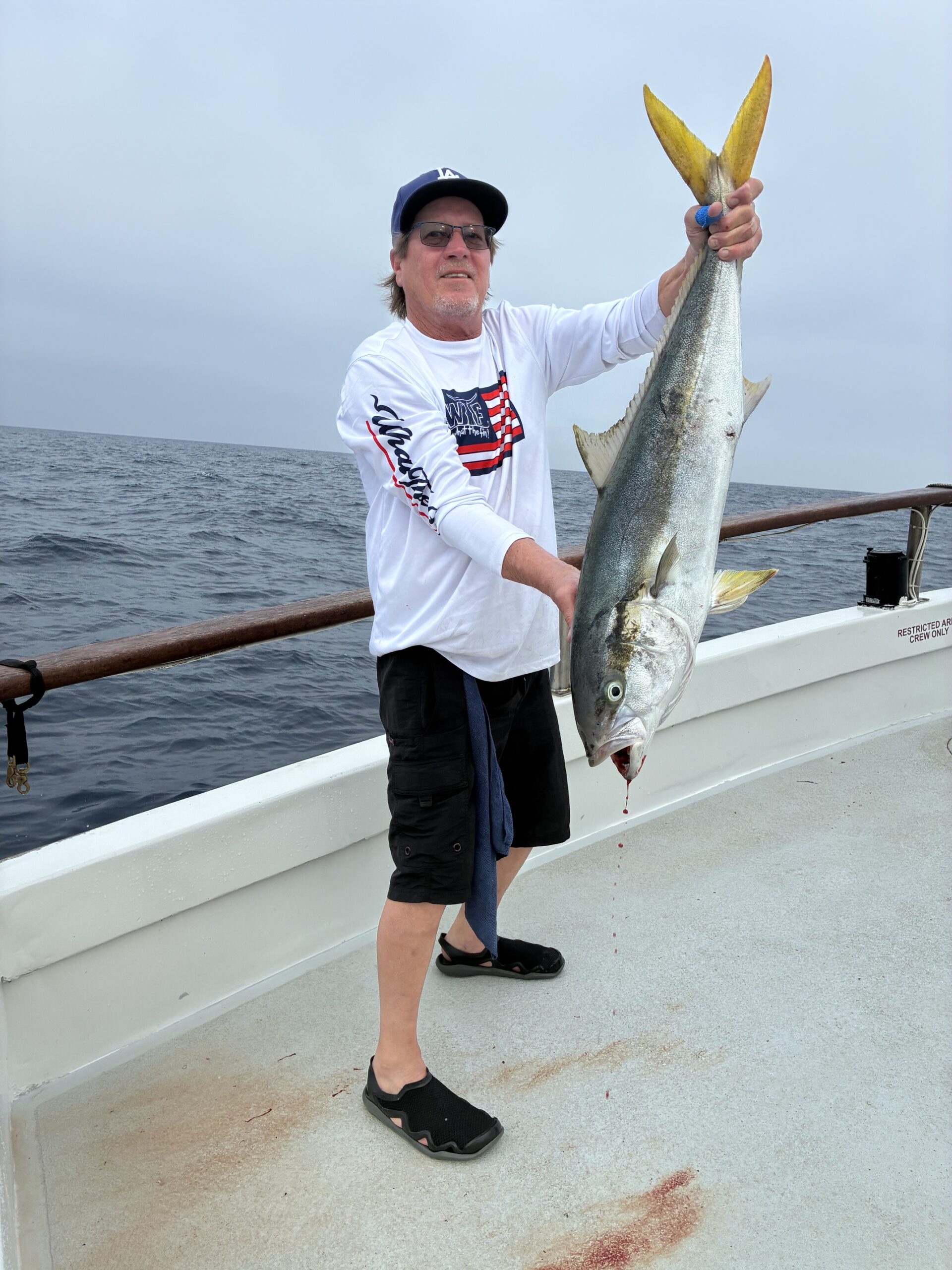 Yellowtail Fishing Searcher