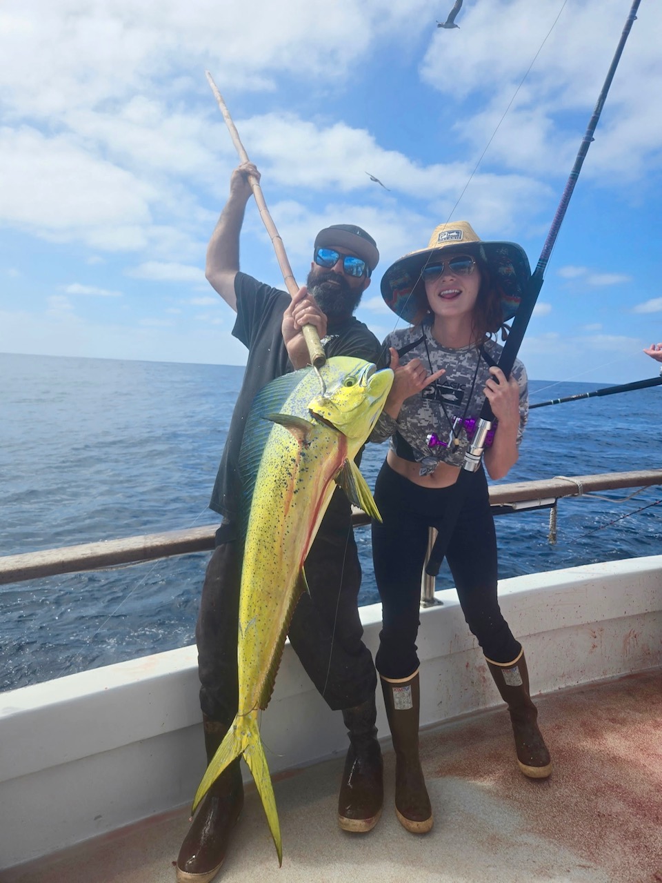 Searcher Sportfishing Accurate Fishing 2026 Joe Dorado
