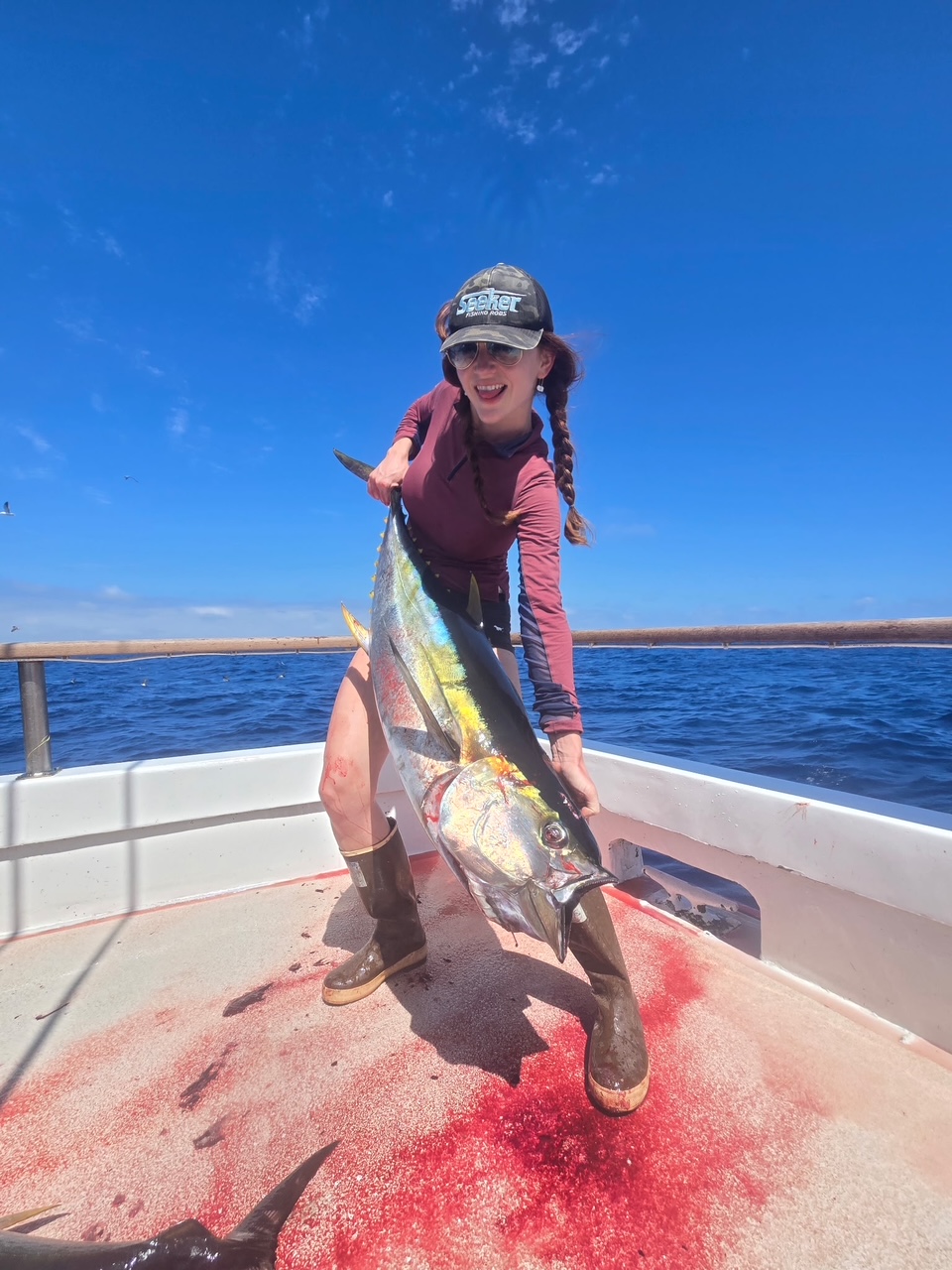 Searcher Sportfishing Accurate Fishing Sept 2026 Bluefin