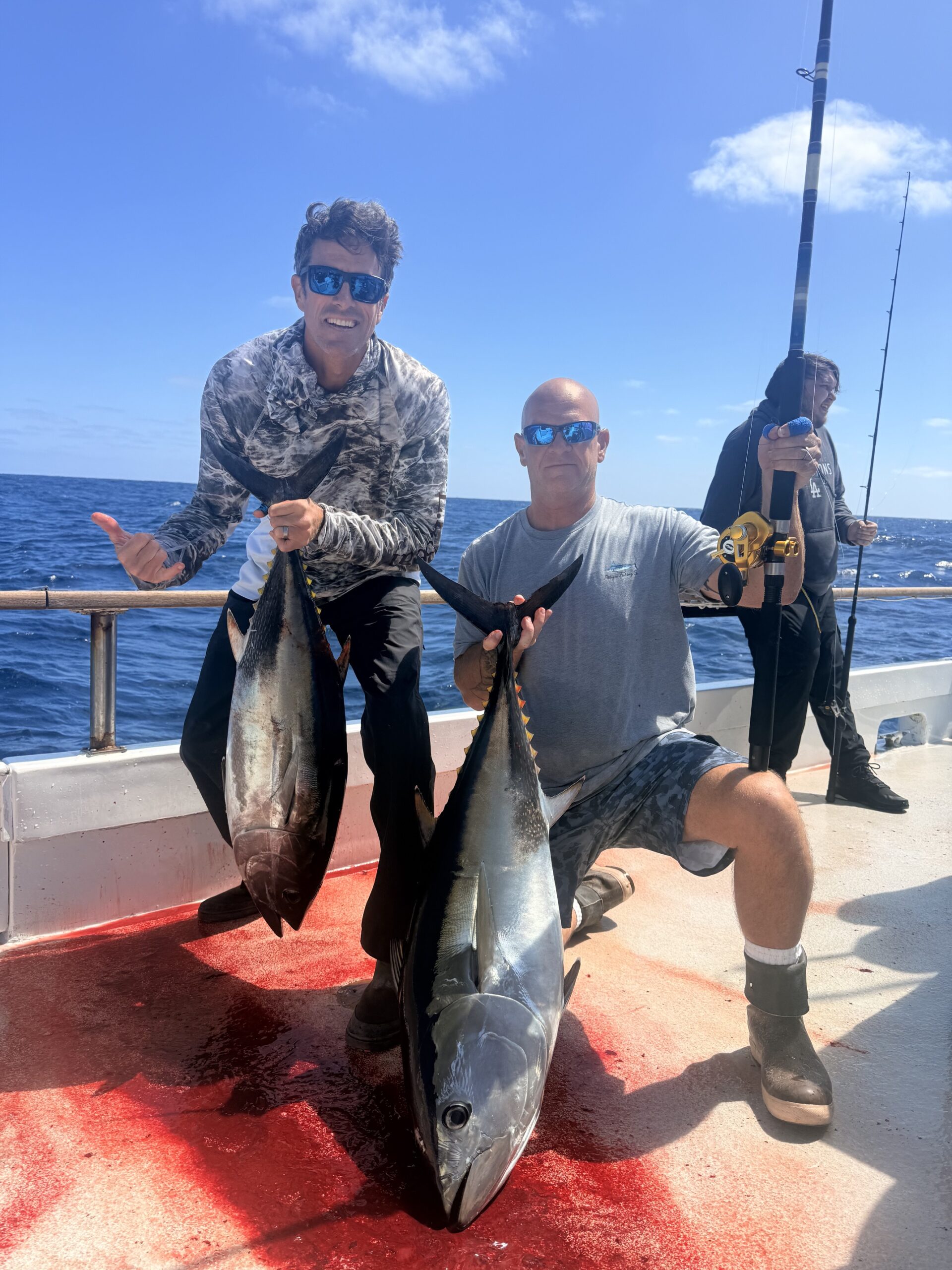 Searcher Sportfishing Bluefin Tunas