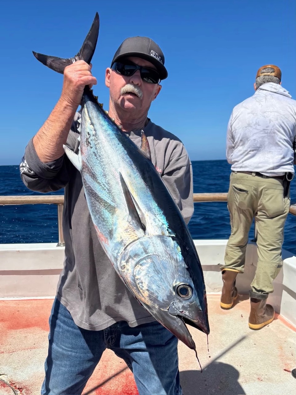 Searcher Sportfishing Danny Bluefin
