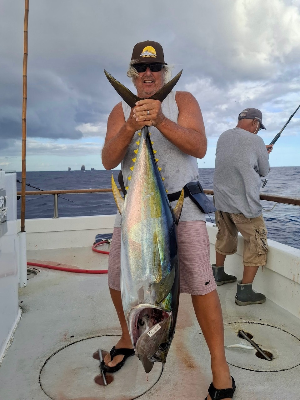 Yellowfin Tuna Oct 2026