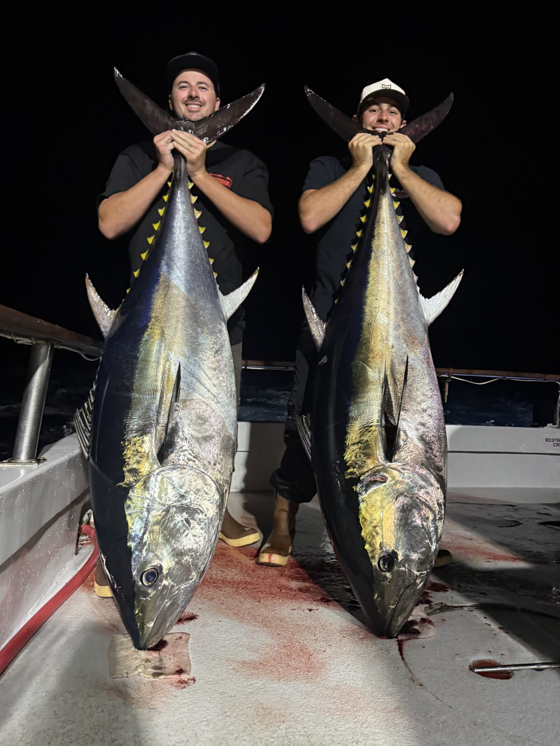 Big Bluefin Tuna Commander