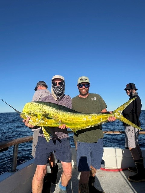 Searcher Sportfishing October 2026 Dorado