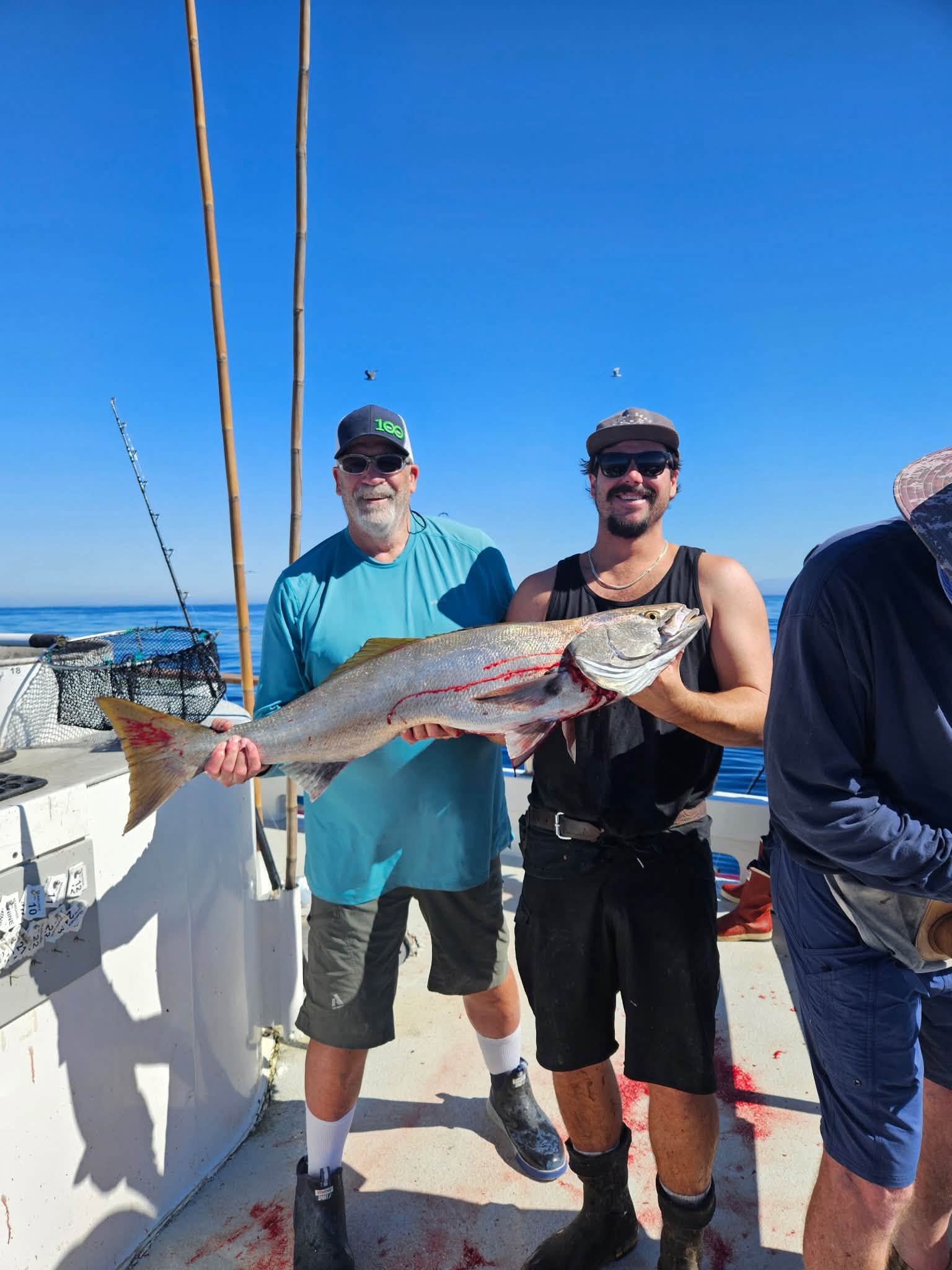 Searcher Sportfishing October 2026 Yellowtail