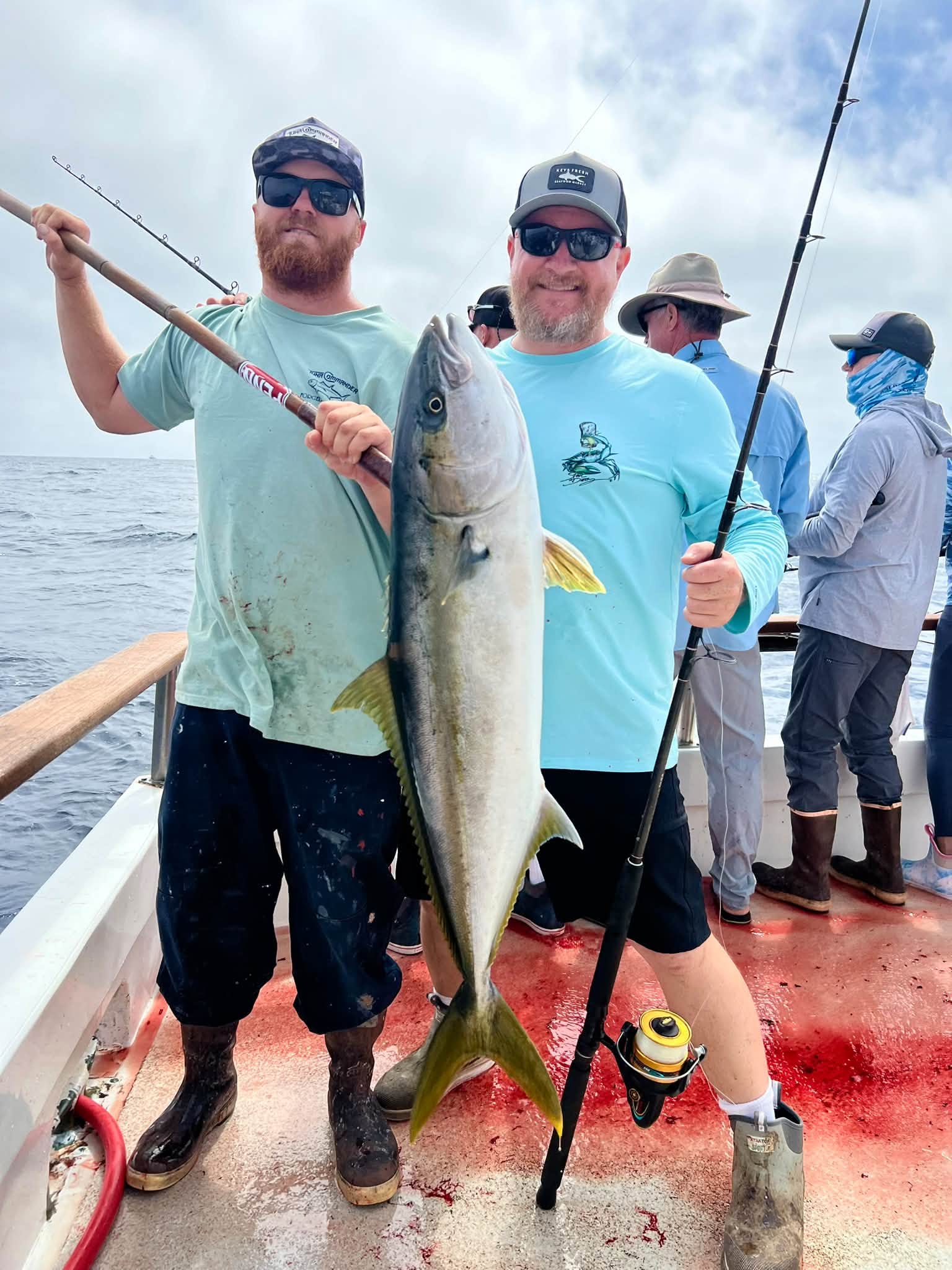 Tuna Commander Searcher Sportfishing Yellowtail