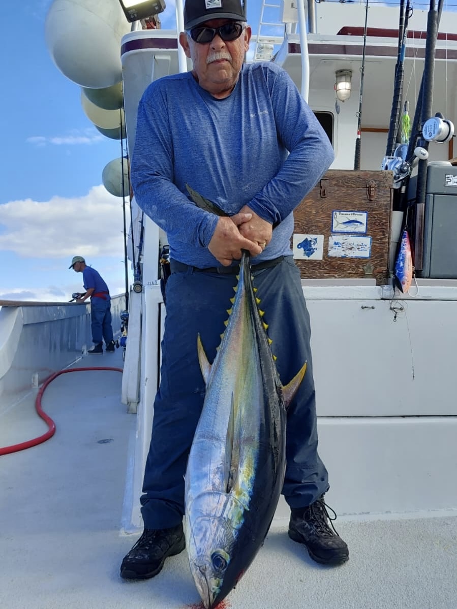 Searcher Sportfishing Yellowfin Tuna Oct 2026