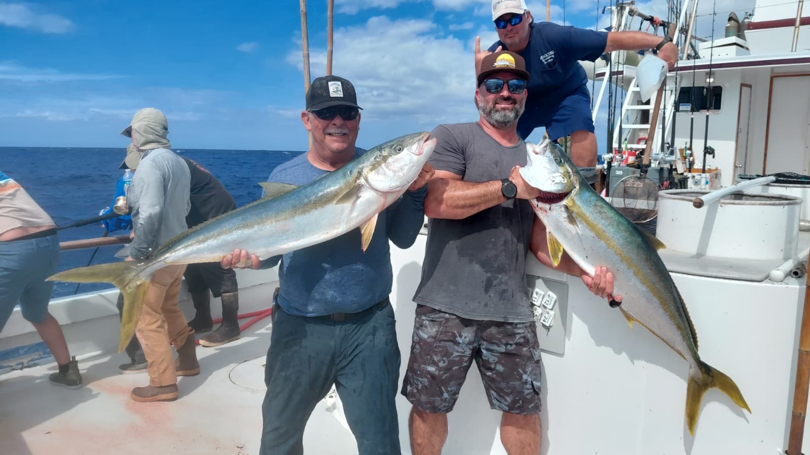 Yellowtails Oct 2026